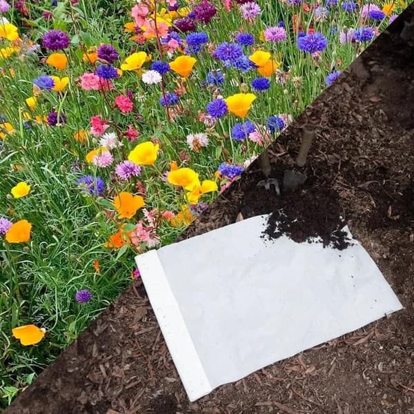Wildflower Mix Seed Mats for Easy DIY Planting