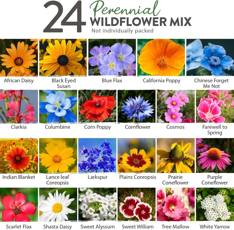 Wildflower Seeds Mix for Pollinator Gardens - Non-GMO 3oz