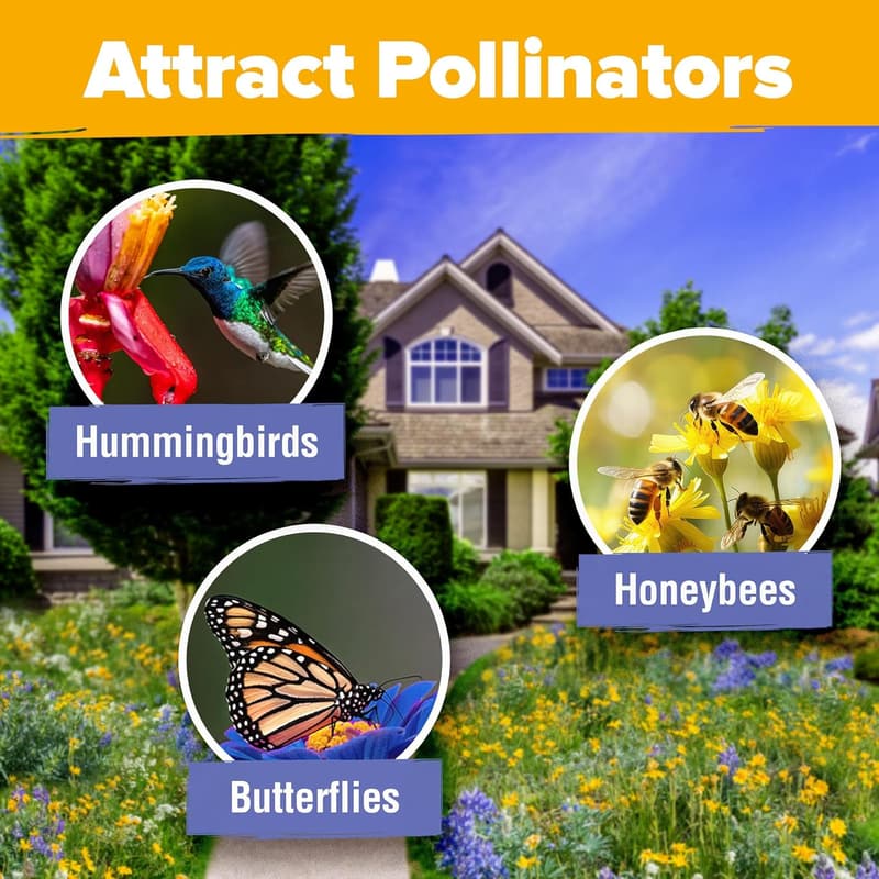 Wildflower Seeds Mix for Pollinator Gardens - Non-GMO 3oz