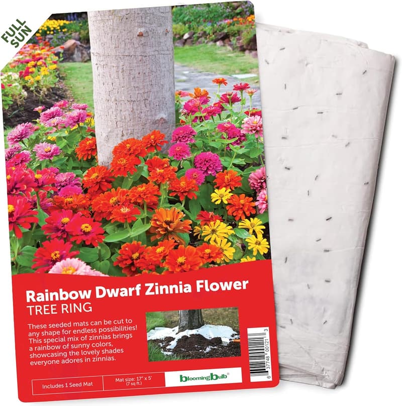 Rainbow Dwarf Zinnia Seed Mat for Easy Flower Gardening