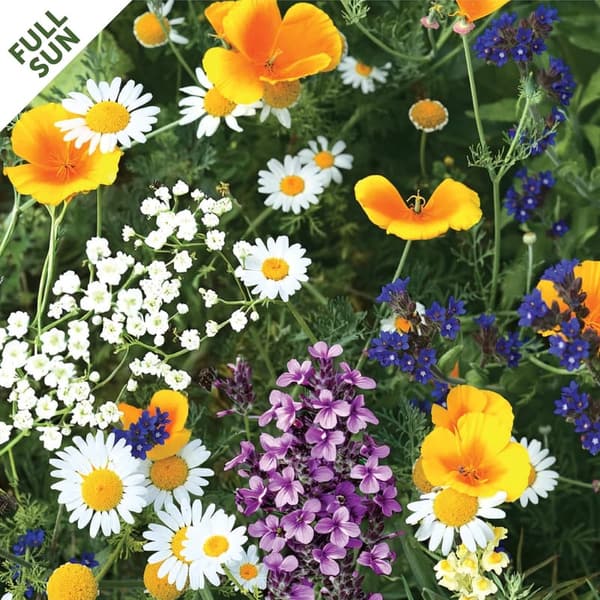 Flower Garden Seed Mat - Easy Planting for Vibrant Blooms