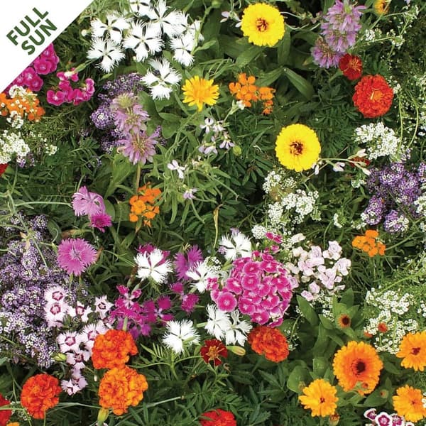 Fragrant Flower Garden Seed Mat - Easy Planting & Growth