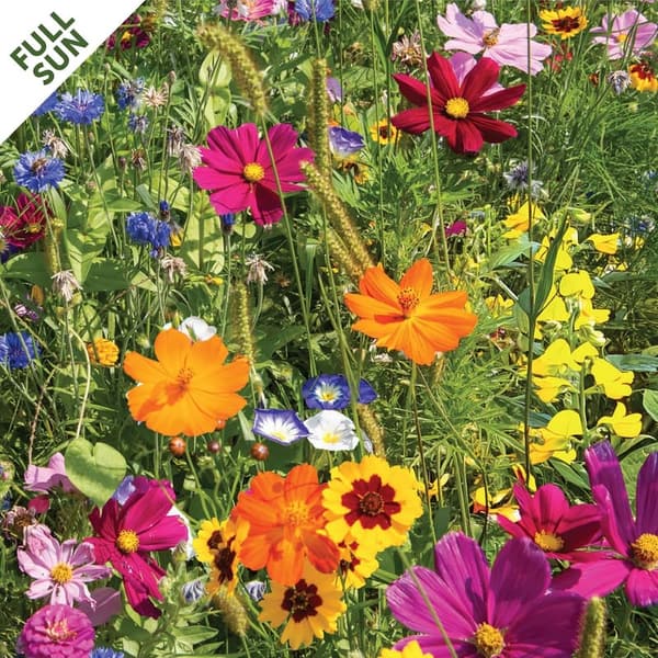 Flower Garden Seed Mat - Effortless Planting for Bird Lovers