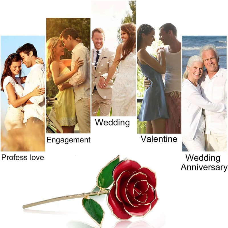 24K Gold Dipped Rose with Stand - Perfect Gift for Her
