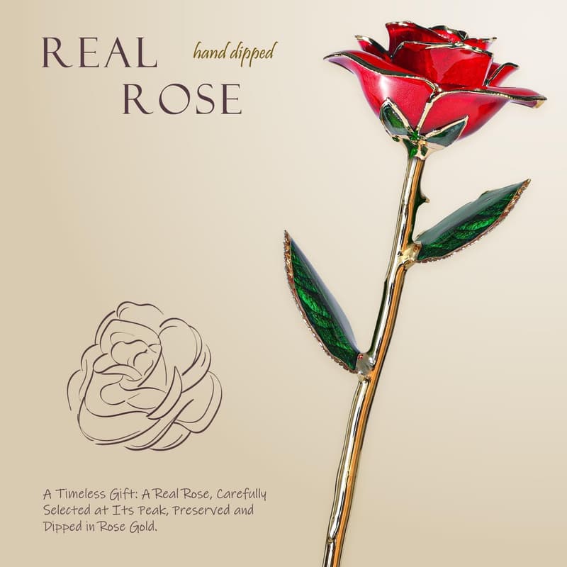 Eternal 24K Gold Dipped Rose - Romantic Gift for Her
