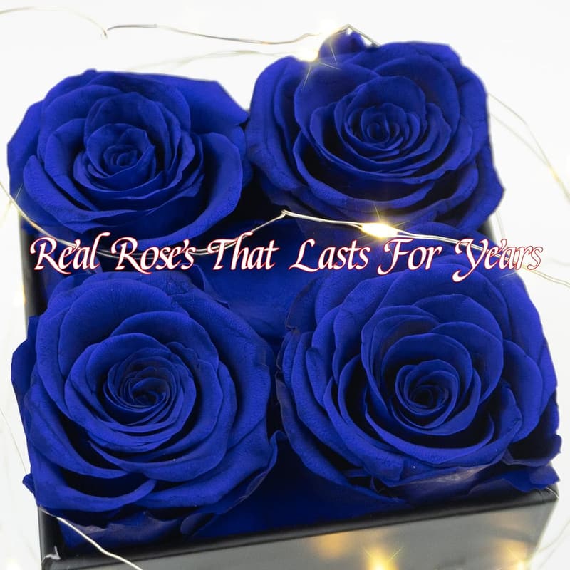 Eternal Love Fresh Preserved Roses in Box for Her – Birthday Gift