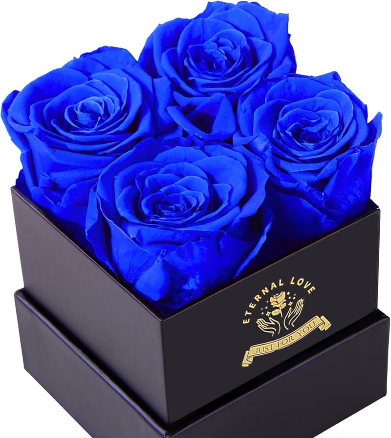 Mother's Day Preserved Roses Gift Box for Women & Men