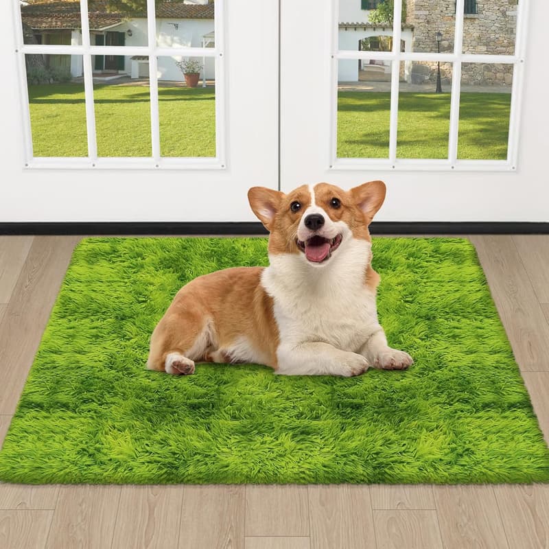 Fluffy Grass Green 2x3 ft Non-Slip Area Rug for Home Decor
