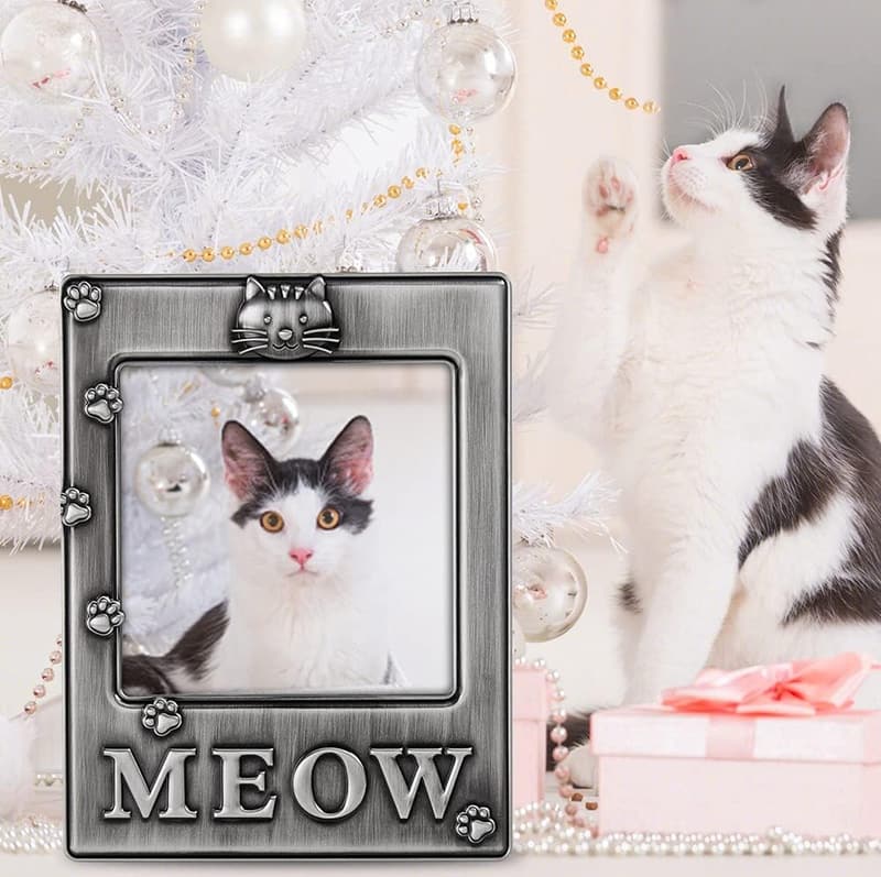 Memorial Cat Photo Frame for Pet Lovers