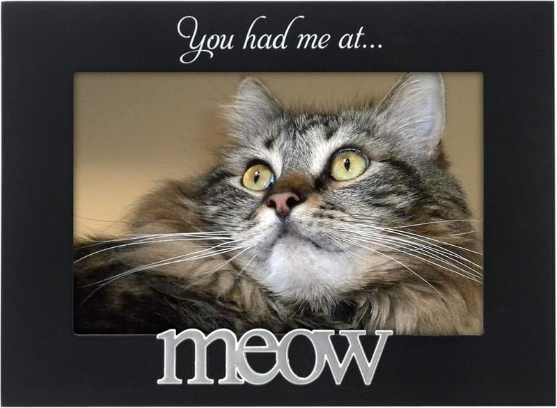 You Had Me at Meow Black Photo Frame, 4x6