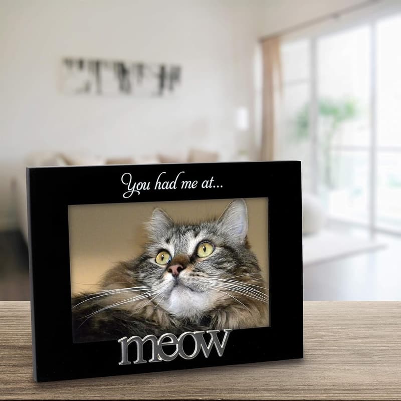 You Had Me at Meow Black Photo Frame, 4x6