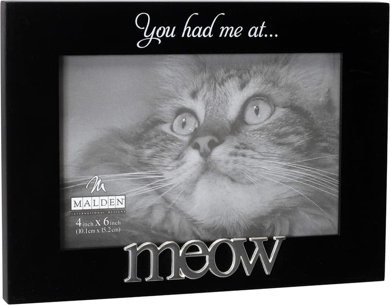 You Had Me at Meow Black Photo Frame, 4x6