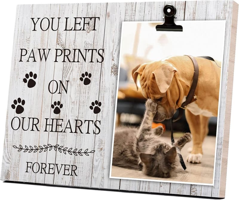 Pet Loss Memorial Frame for Cat or Dog - 4x6