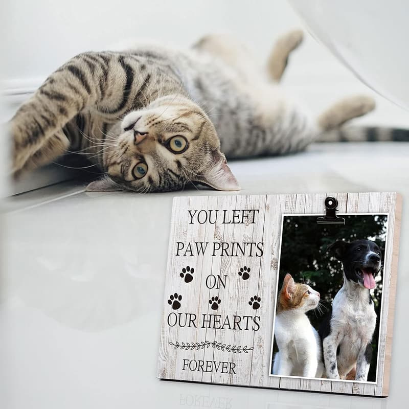 Pet Loss Memorial Frame for Cat or Dog - 4x6
