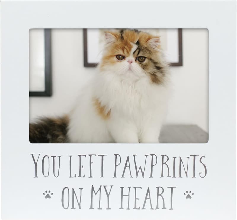Pet Memorial Frame for Dogs and Cats, 4x6, Sympathy Keepsake