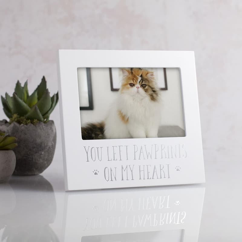 Pet Memorial Frame for Dogs and Cats, 4x6, Sympathy Keepsake