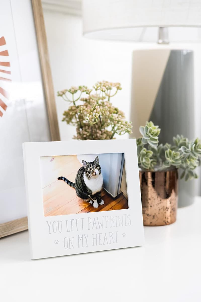 Pet Memorial Frame for Dogs and Cats, 4x6, Sympathy Keepsake