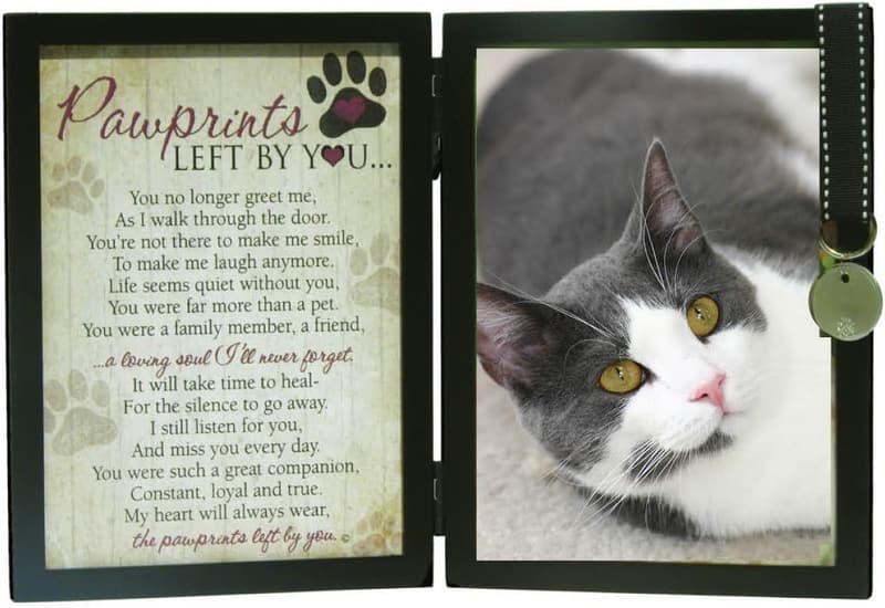 Cat Memorial Frame with Tag - Pawprints Left By You 5x7