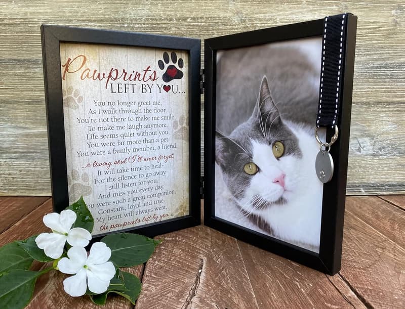 Cat Memorial Frame with Tag - Pawprints Left By You 5x7