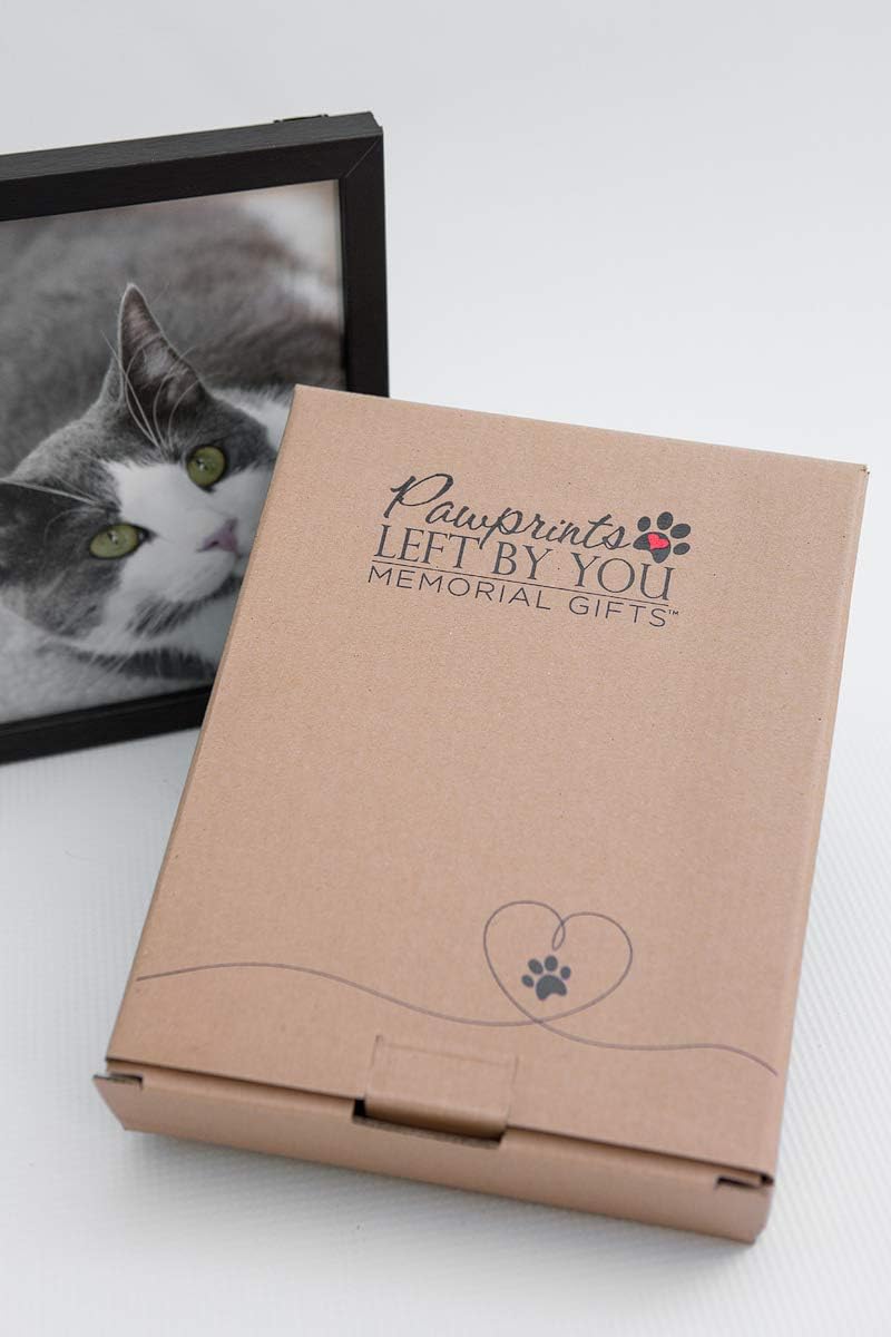 Cat Memorial Frame with Tag - Pawprints Left By You 5x7