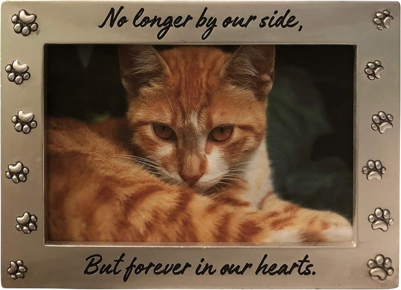 Pet Memorial Frame Keepsake for Dog or Cat Remembrance