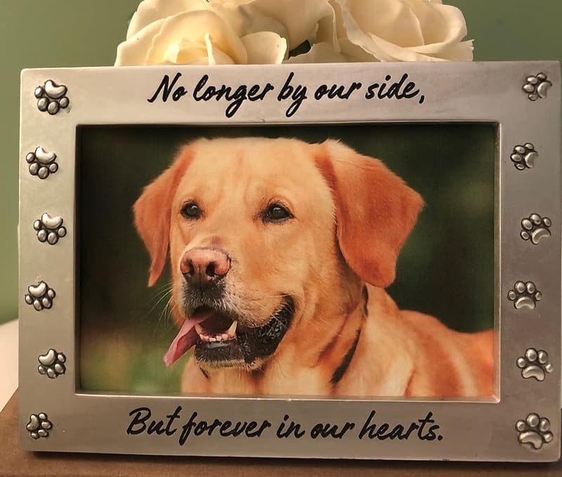 Pet Memorial Frame Keepsake for Dog or Cat Remembrance