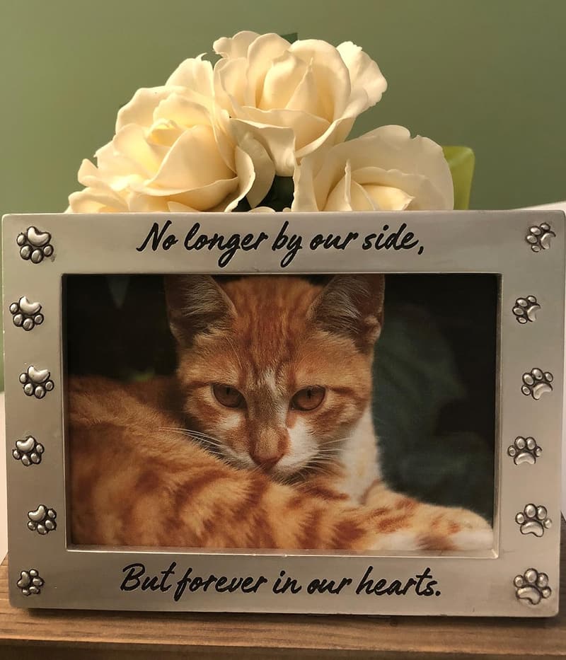 Pet Memorial Frame Keepsake for Dog or Cat Remembrance