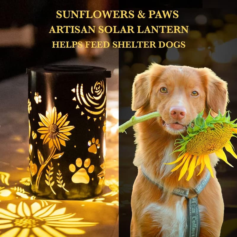 Pet Memorial Gift - Artisan Solar Lantern 'Sunflowers & Paws'