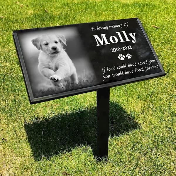 Personalized Black Granite Pet Memorial Stone with Photo