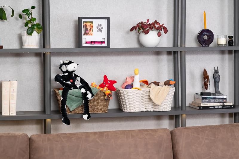 Pet Memorial Frame with Customizable Displays and Paw Print Kit