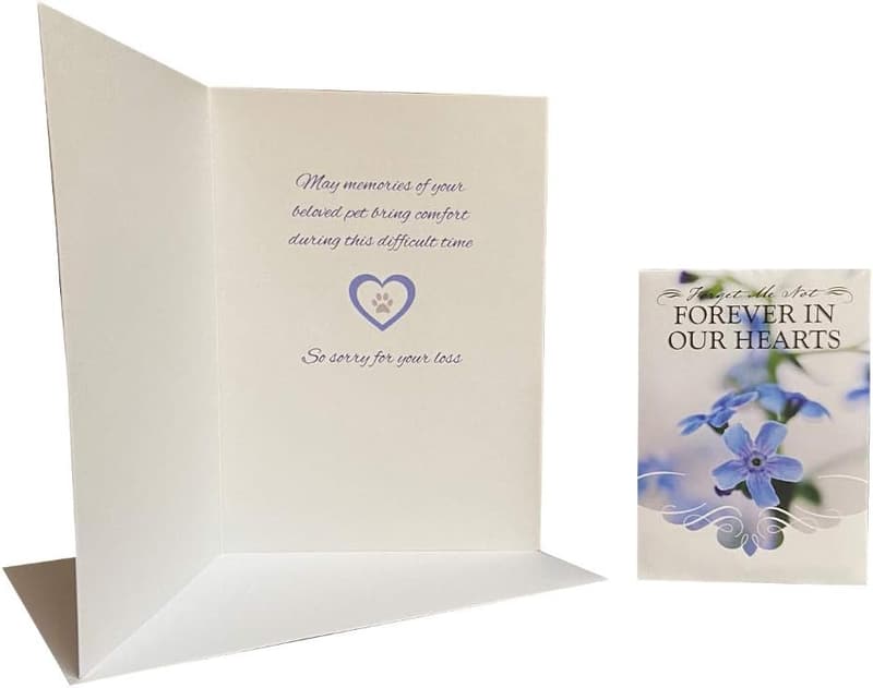 Pet Memorial Sympathy Card & Forget Me Not Seed Packet Set