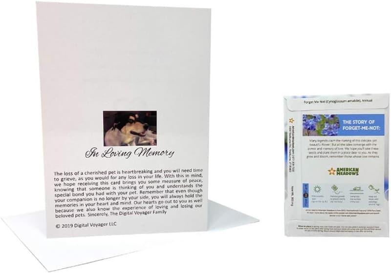 Pet Memorial Sympathy Card & Forget Me Not Seed Packet Set