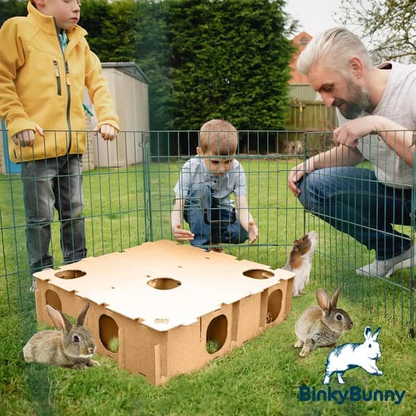 Maze Haven: Rabbit and Small Pet Playhouse and Toy