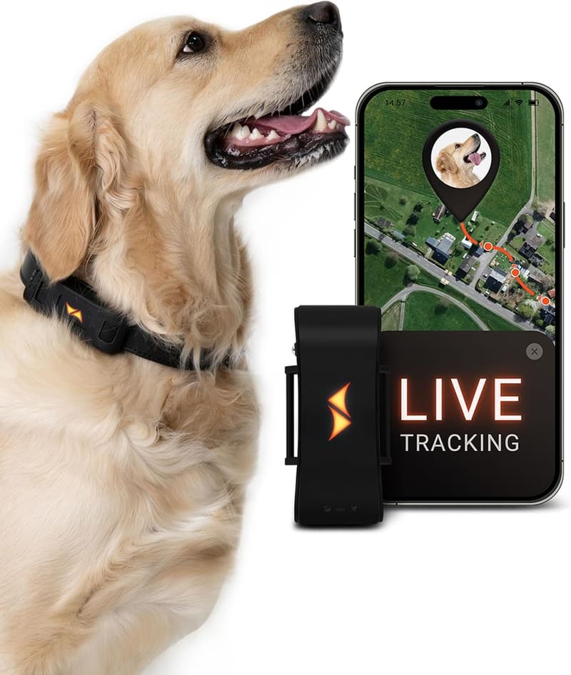 GPS Dog Tracker - 4G Waterproof Device with Real-Time Alerts