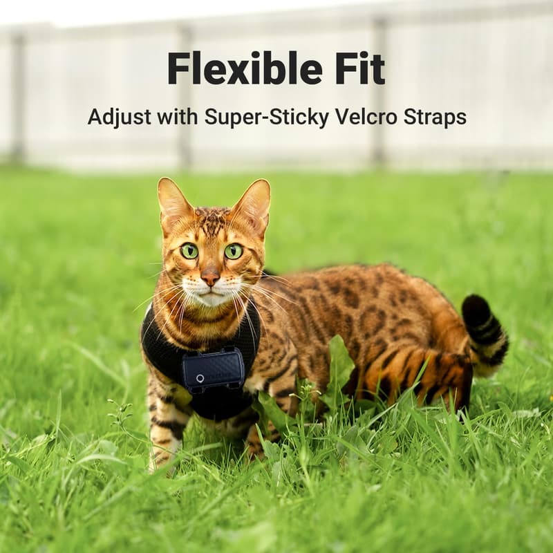 Cat GPS Tracker Harness Attachment with Velcro Straps