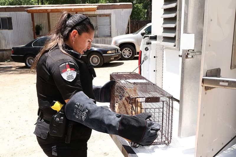 Animal Handling Gloves with Bite-Proof Leather Padding
