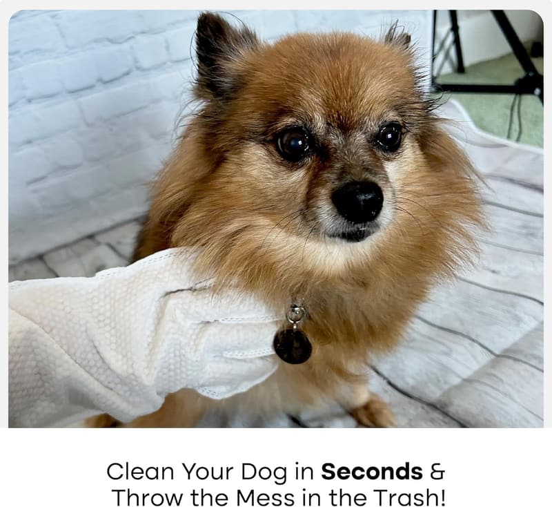 Pet Cleaning Gloves: Extra-Thick Wipes for Dogs & Cats (6 Pack)