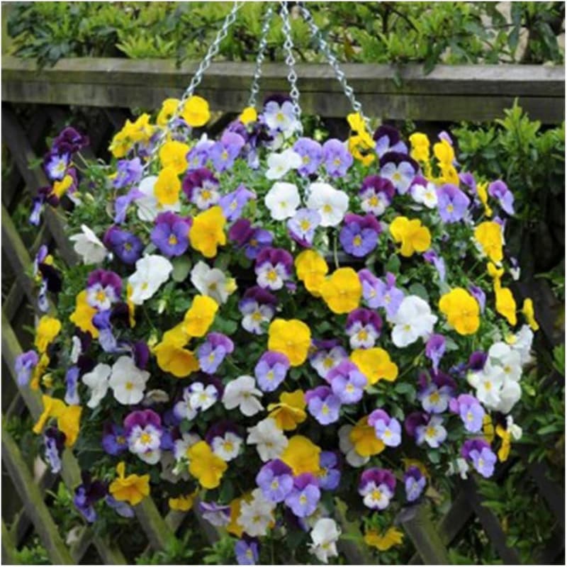 Outdoor Hanging Baskets - 2-Pack Planters for Plants, Mocha
