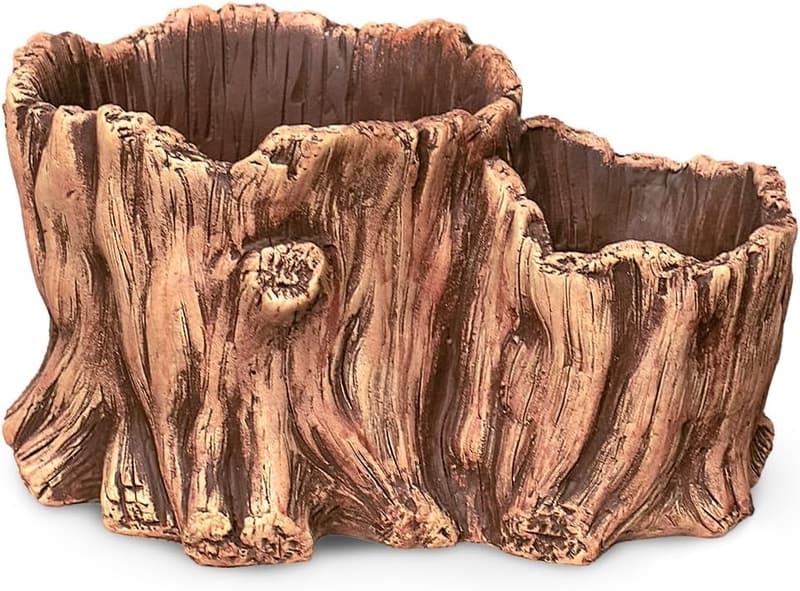 Driftwood Succulent Planter - 9.5
