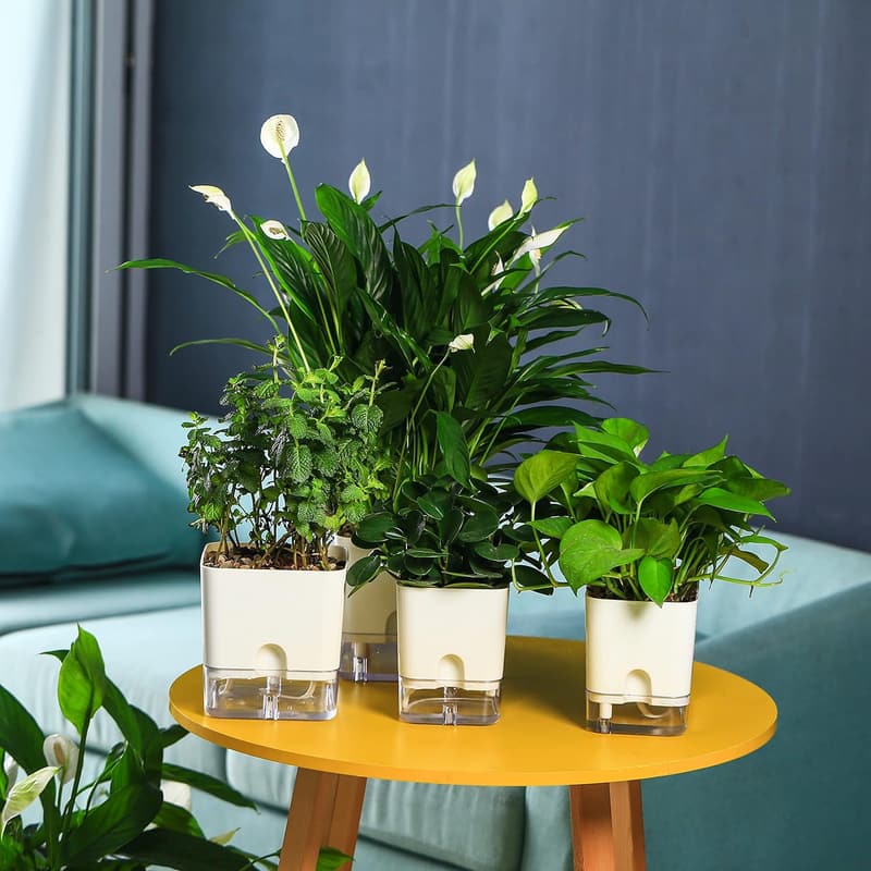 Self-Watering Planter Pots - 7