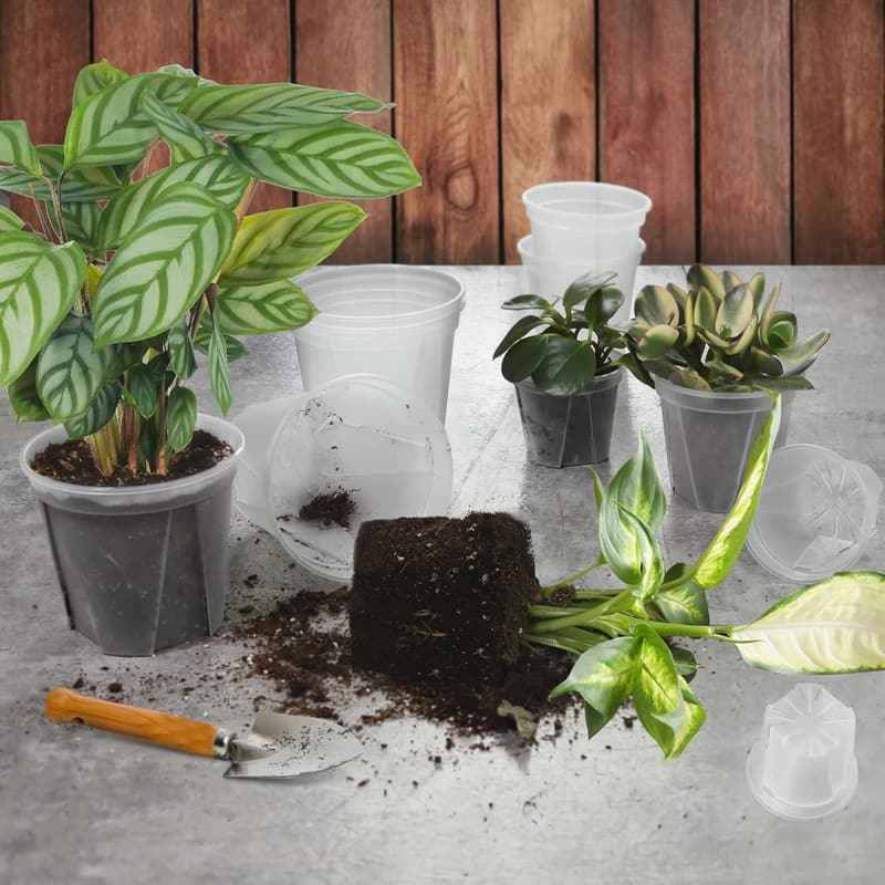 Modern Transparent Plastic Planter Set with Drainage Holes 4-6