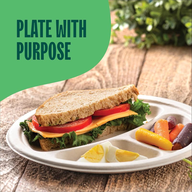 Compostable 3-Compartment Disposable Paper Plates - 125-Pack