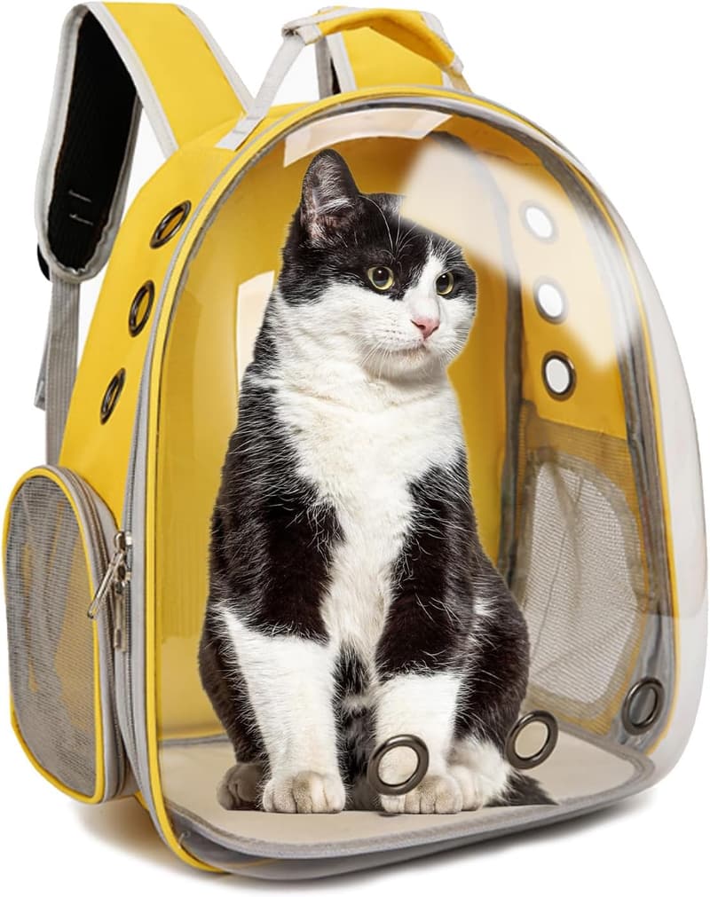 Transparent Bubble Cat Backpack Carrier for Small Pets - Airline Approved Yellow