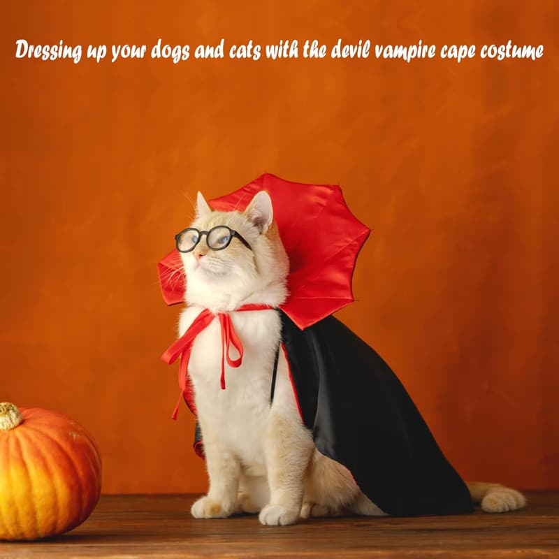 Funny Dog Vampire Costume with Stand-Up Collar, Large