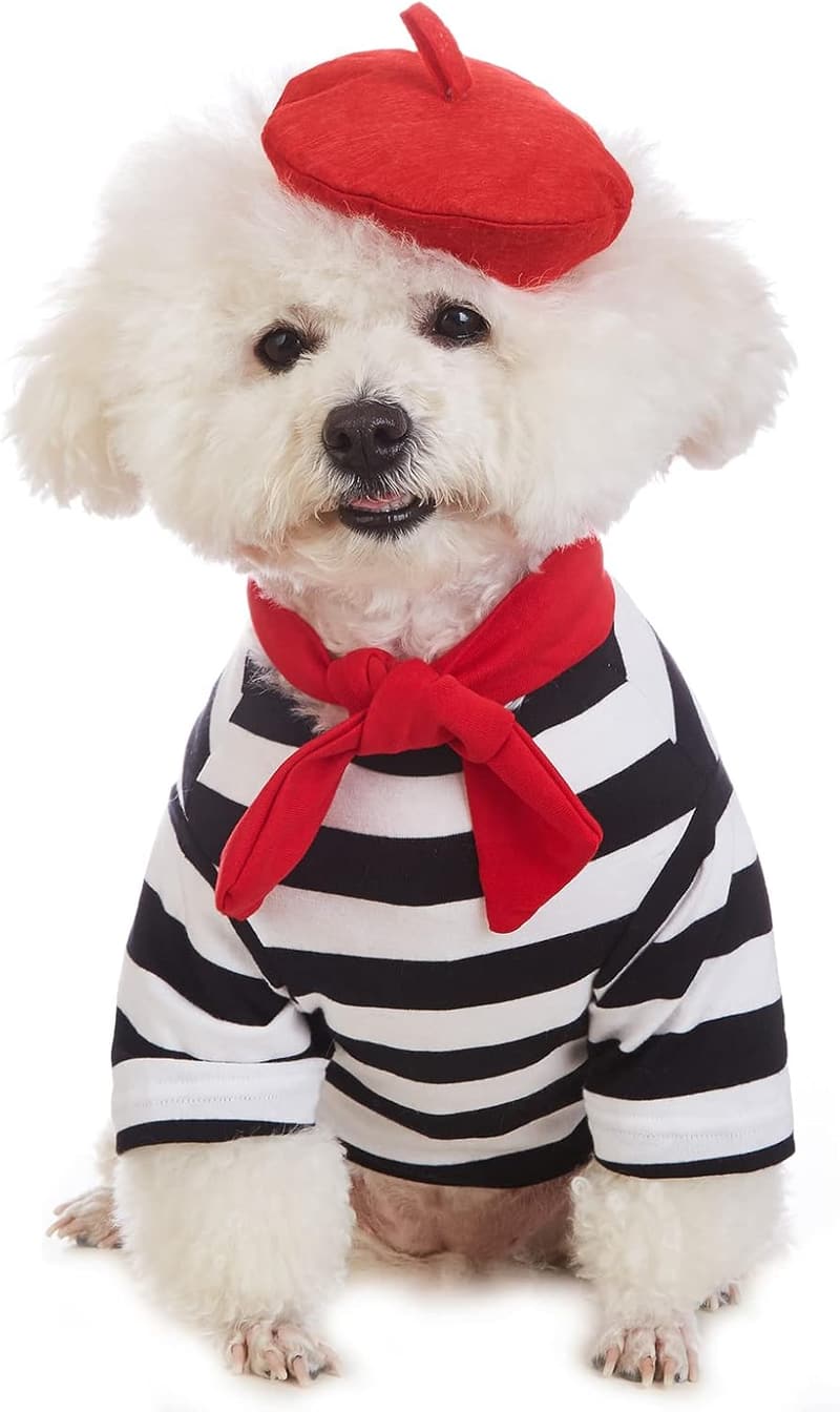 Funny Painter Costume for Small Dogs - Summer T-Shirt (XS)
