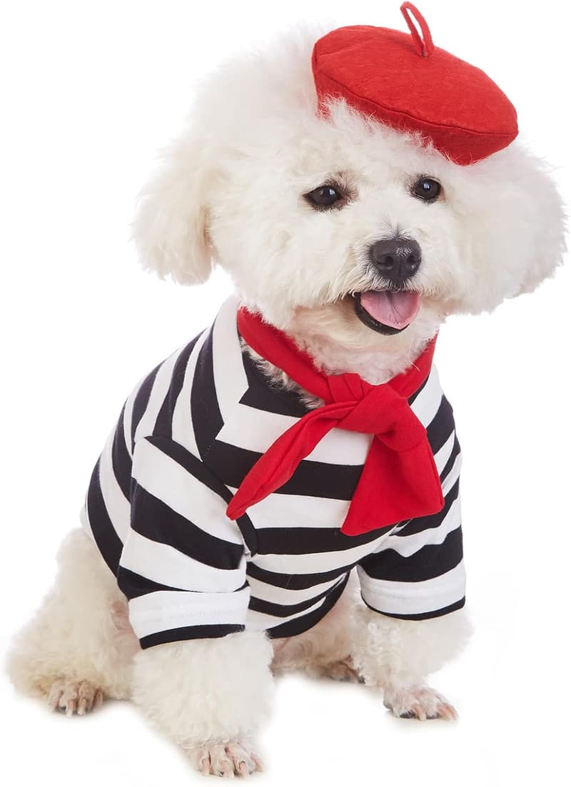 Funny Painter Costume for Small Dogs - Summer T-Shirt (XS)