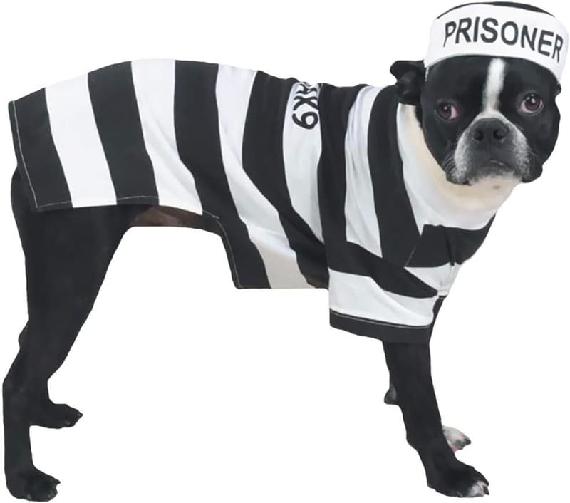 Prison Pooch Costume for Medium Dogs, Black and White