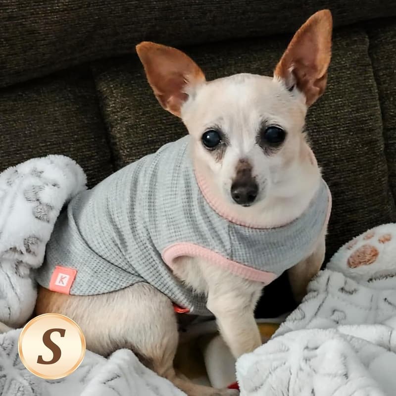 Small Dog Waffle Tank Tops - Lightweight & Stretchy 2-Pack