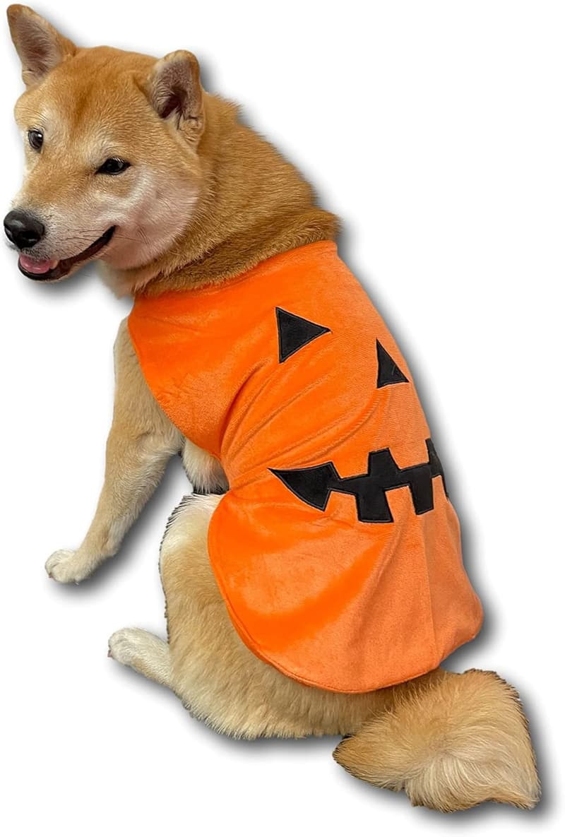 Halloween Pumpkin Dog Costume - Comfy for Medium to X-Large Pets