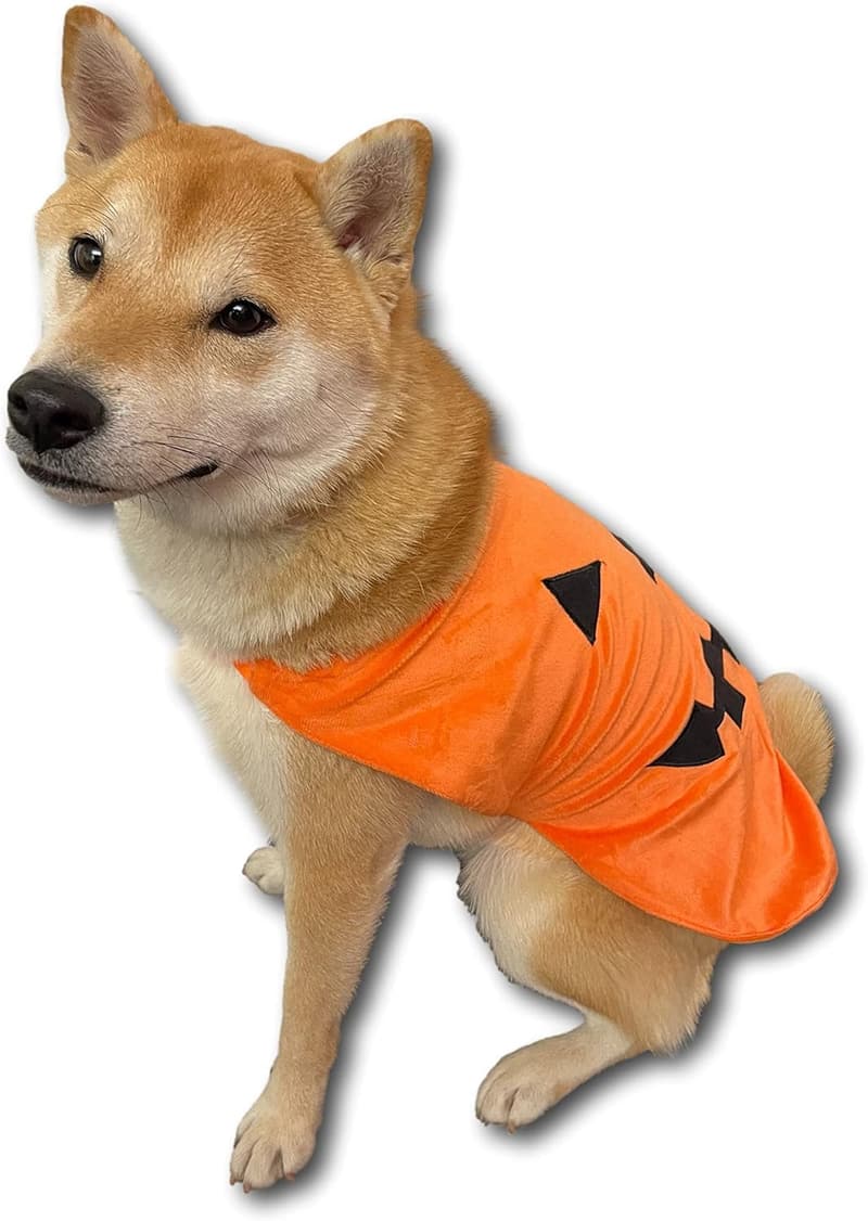 Halloween Pumpkin Dog Costume - Comfy for Medium to X-Large Pets